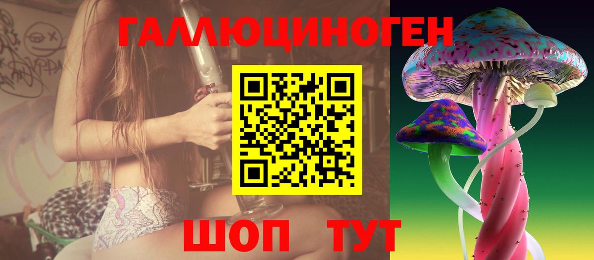 Псилоцибиновые грибы Psilocybe Луга