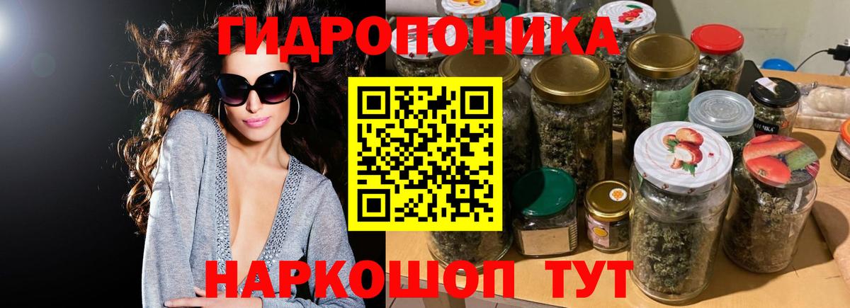 МАРИХУАНА сатива Луга